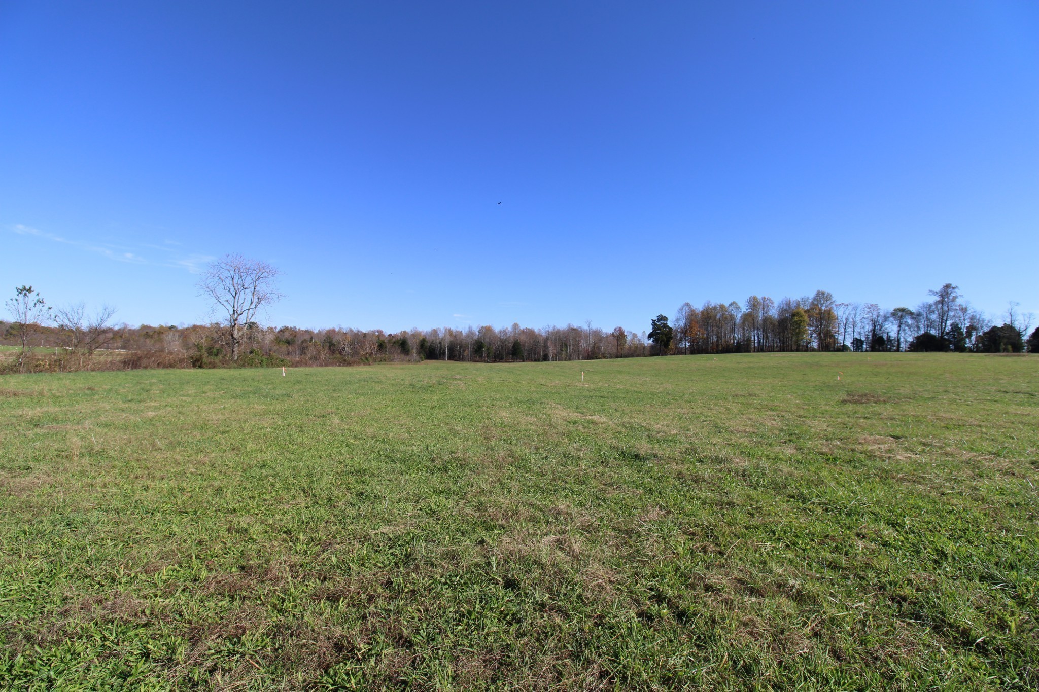 5 Willette Road Red Boiling Springs, TN 37150 - Photo 17 of 19