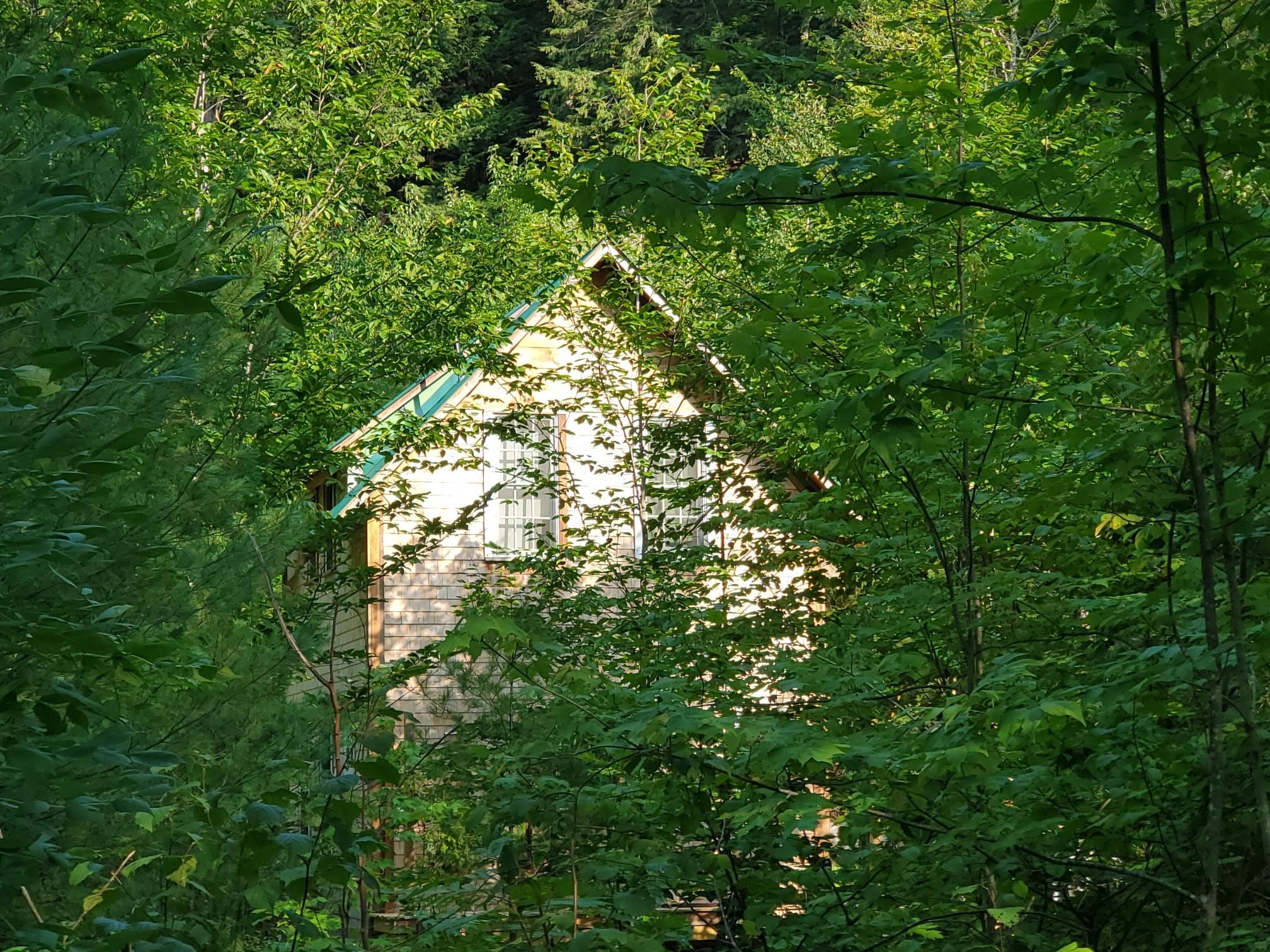 Thurston Pond Road Madison, NH 03849 - Photo 5 of 10