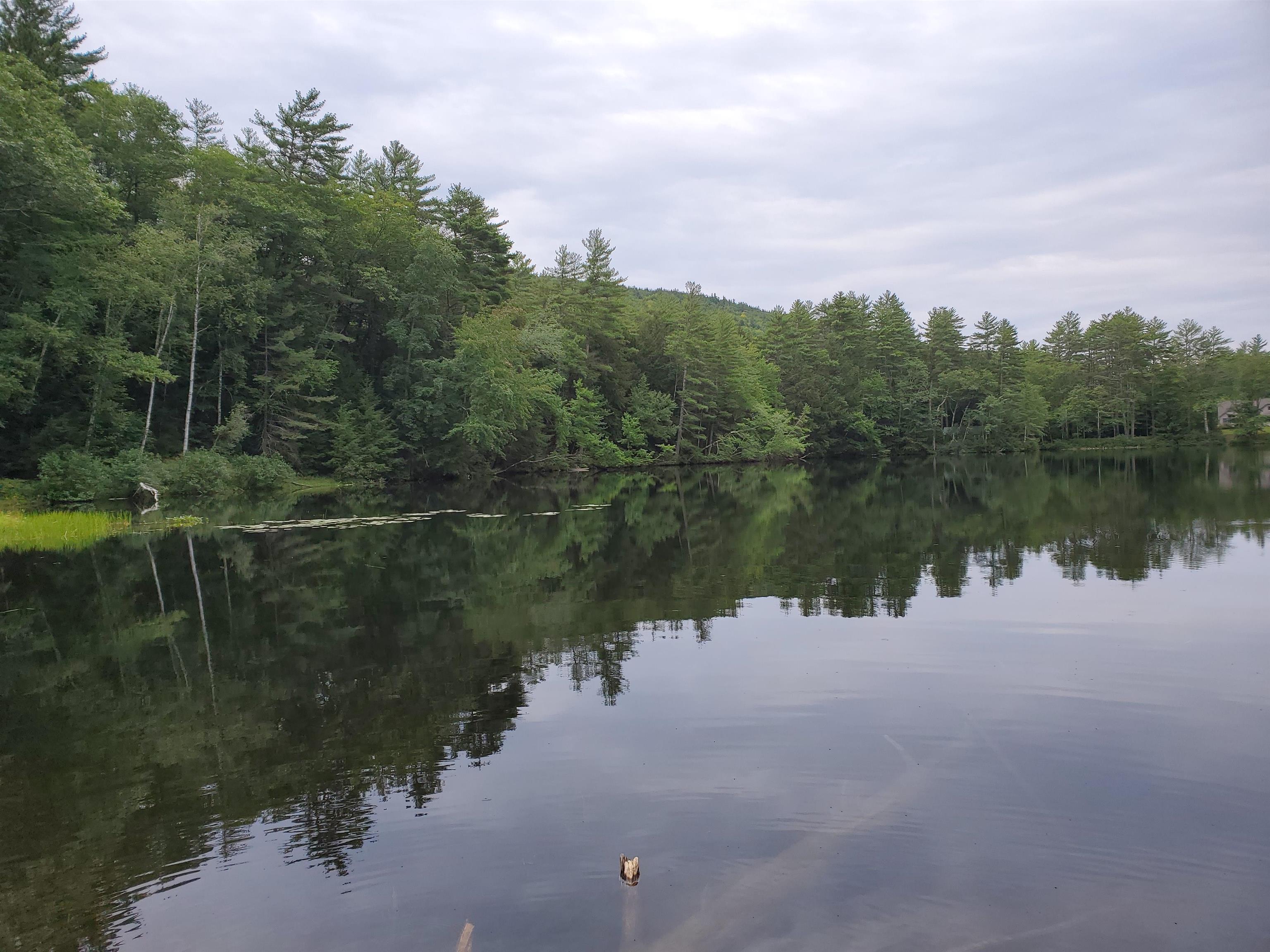 Thurston Pond Road Madison, NH 03849 - Photo 10 of 10