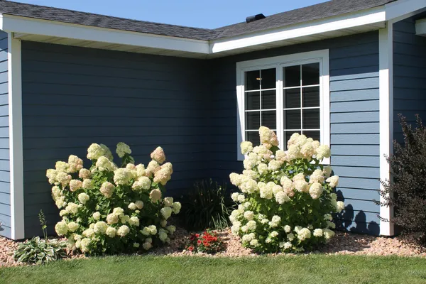 $479,000 | 42955 165th Street, Clitherall, MN 56524