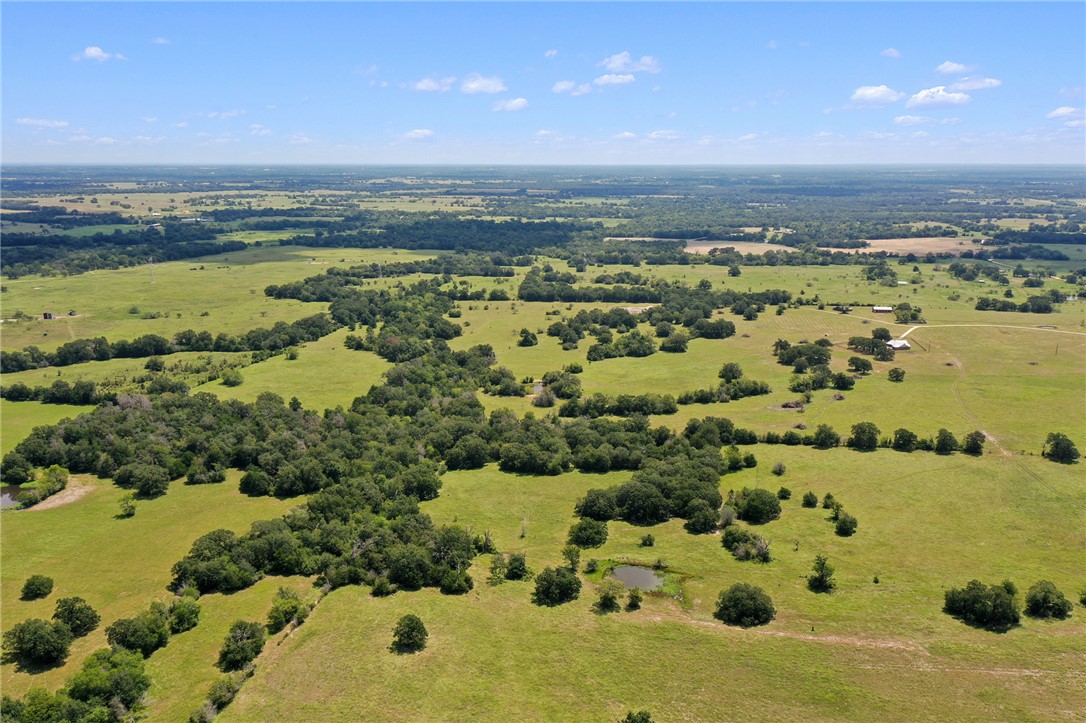 7808 Oxford Cemetery Road Madisonville, TX 77864 - Photo 12 of 41 Aerial view