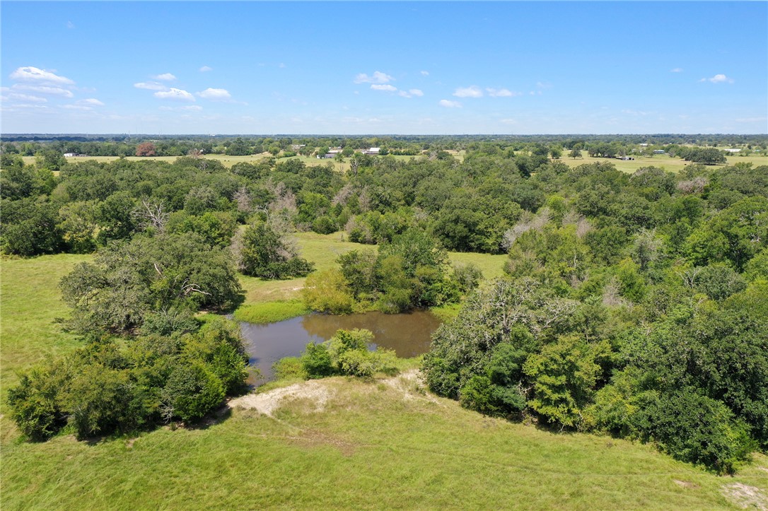 7808 Oxford Cemetery Road Madisonville, TX 77864 - Photo 16 of 41 a view of an outdoor space and a yard