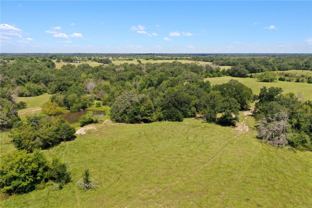 7808 Oxford Cemetery Road Madisonville, TX 77864 - Photo 17 of 41 View of rural area