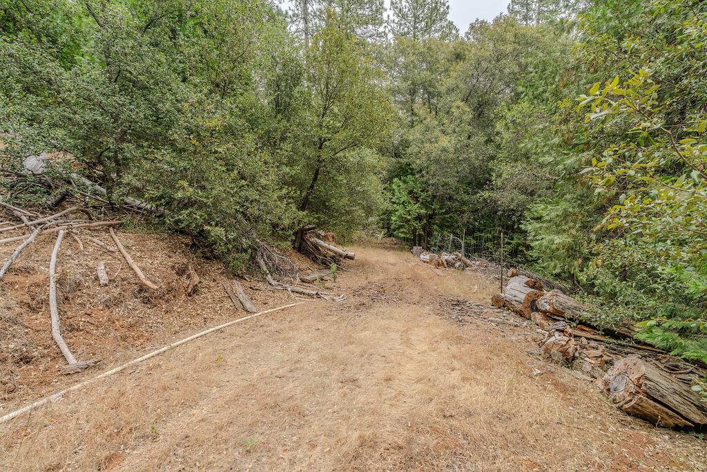 18101 Old River Road Fiddletown, CA 95629 - Photo 19 of 53 Gallery Image 19