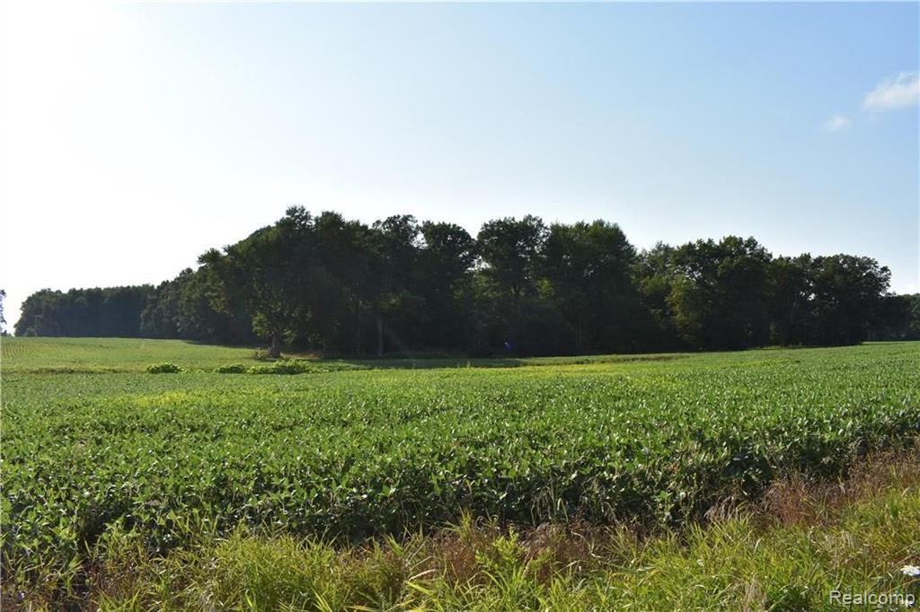 V/l East Coulter Road Lapeer, MI 48446 - Photo 4 of 5