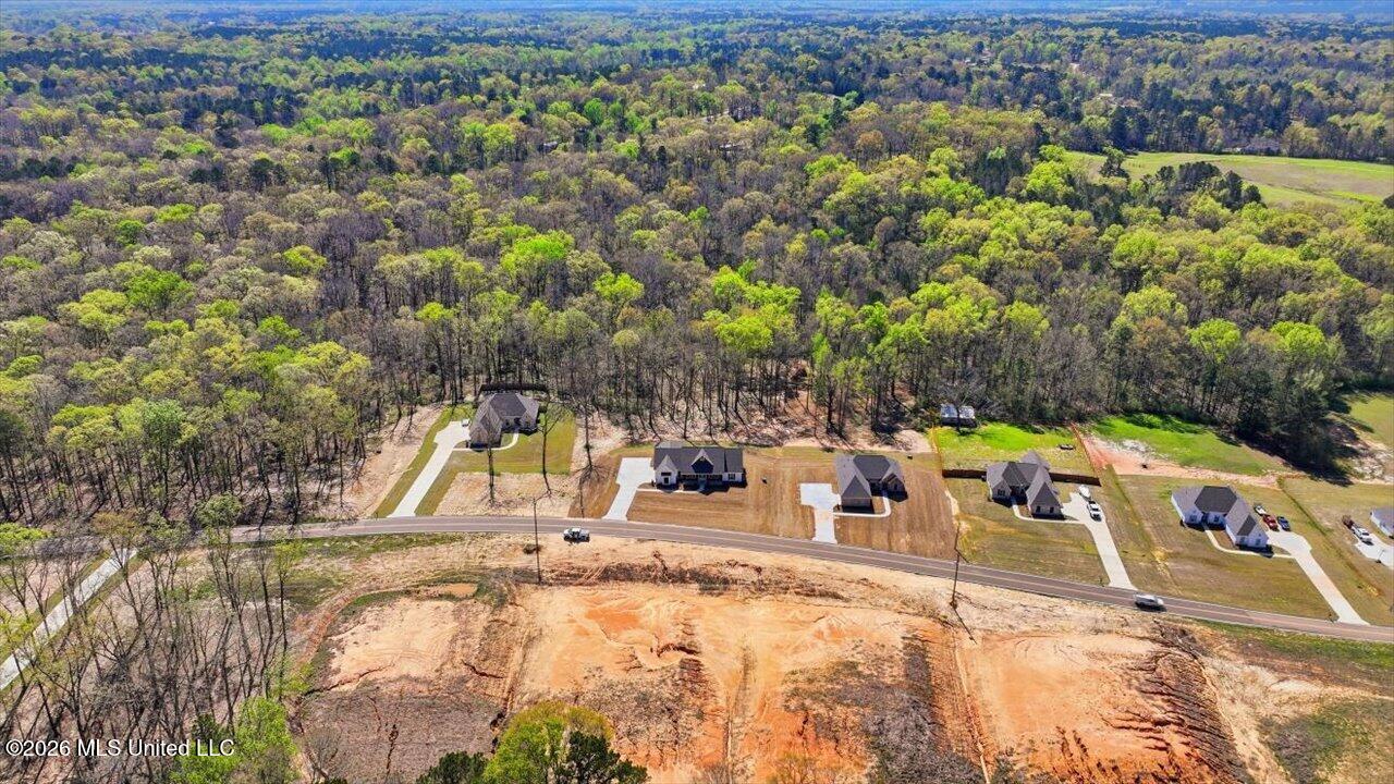 933 Mullican Road Florence, MS 39073 - Photo 52 of 67 52-933 Mullican Rd _ Home Tours MS