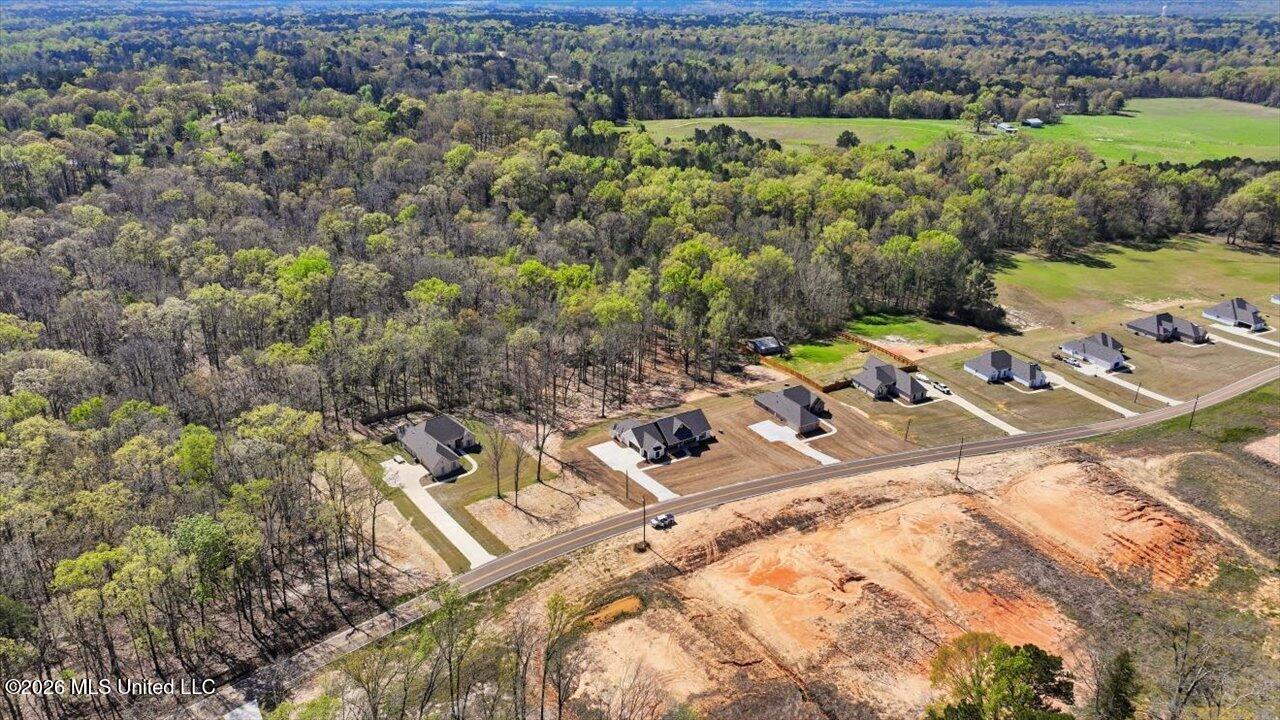 933 Mullican Road Florence, MS 39073 - Photo 53 of 67 53-933 Mullican Rd _ Home Tours MS