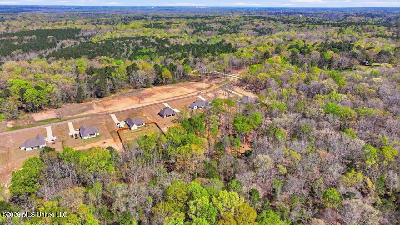 933 Mullican Road Florence, MS 39073 - Photo 61 of 67 61-933 Mullican Rd _ Home Tours MS