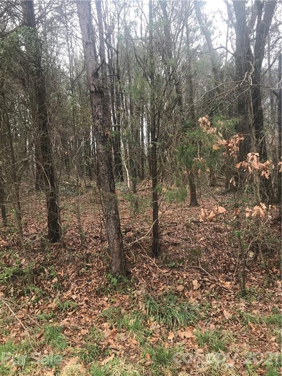 Lot#134 Spring Run Road Mooresville, NC 28117 - Photo 1 of 3 Gallery Image 1