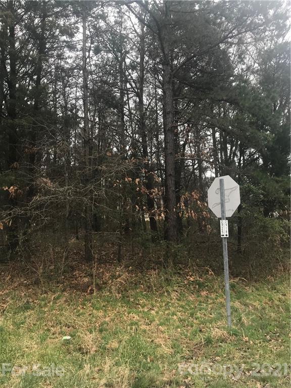 Lot#134 Spring Run Road Mooresville, NC 28117 - Photo 3 of 3 Gallery Image 3