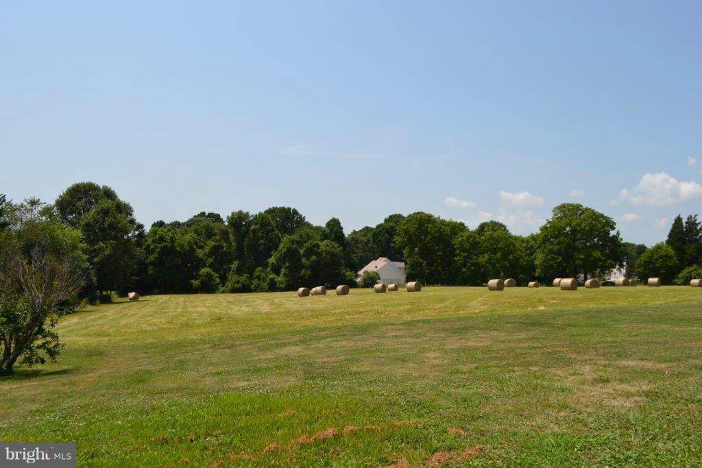 2843 Singerly Road Elkton, MD 21921 - Photo 4 of 30 Pasture View-Potential to Subdivide-Anytime Perc