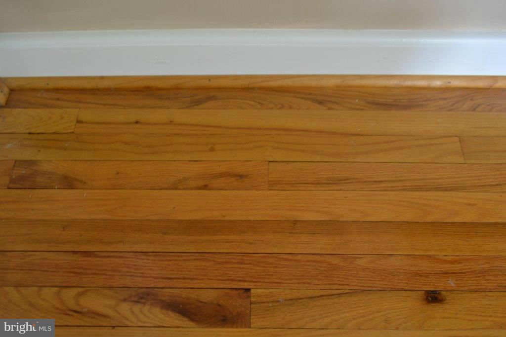 2843 Singerly Road Elkton, MD 21921 - Photo 7 of 30 Lots of Wood Flooring
