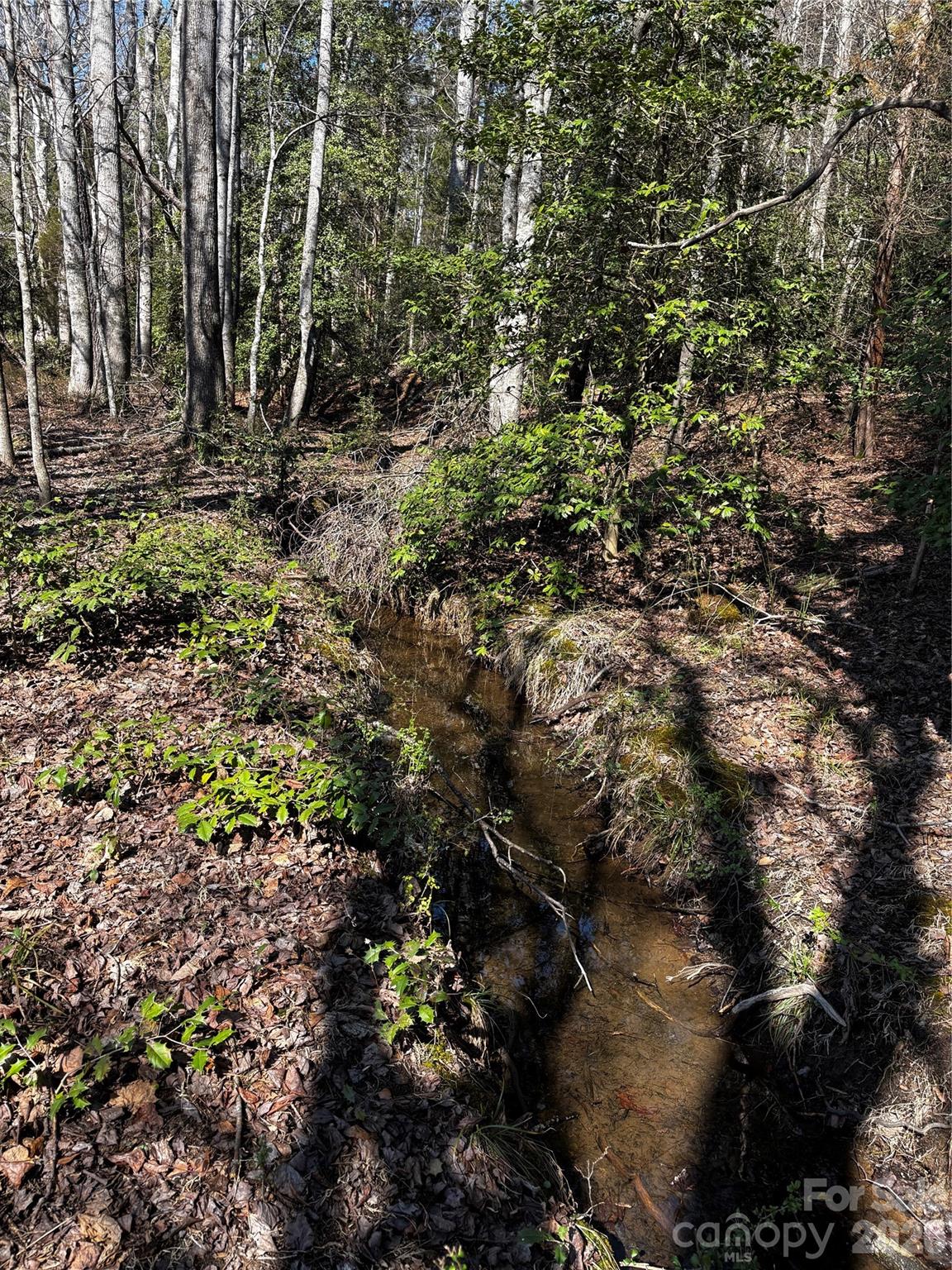 1685 Old Caroleen Road Forest City, NC 28043 - Photo 25 of 41