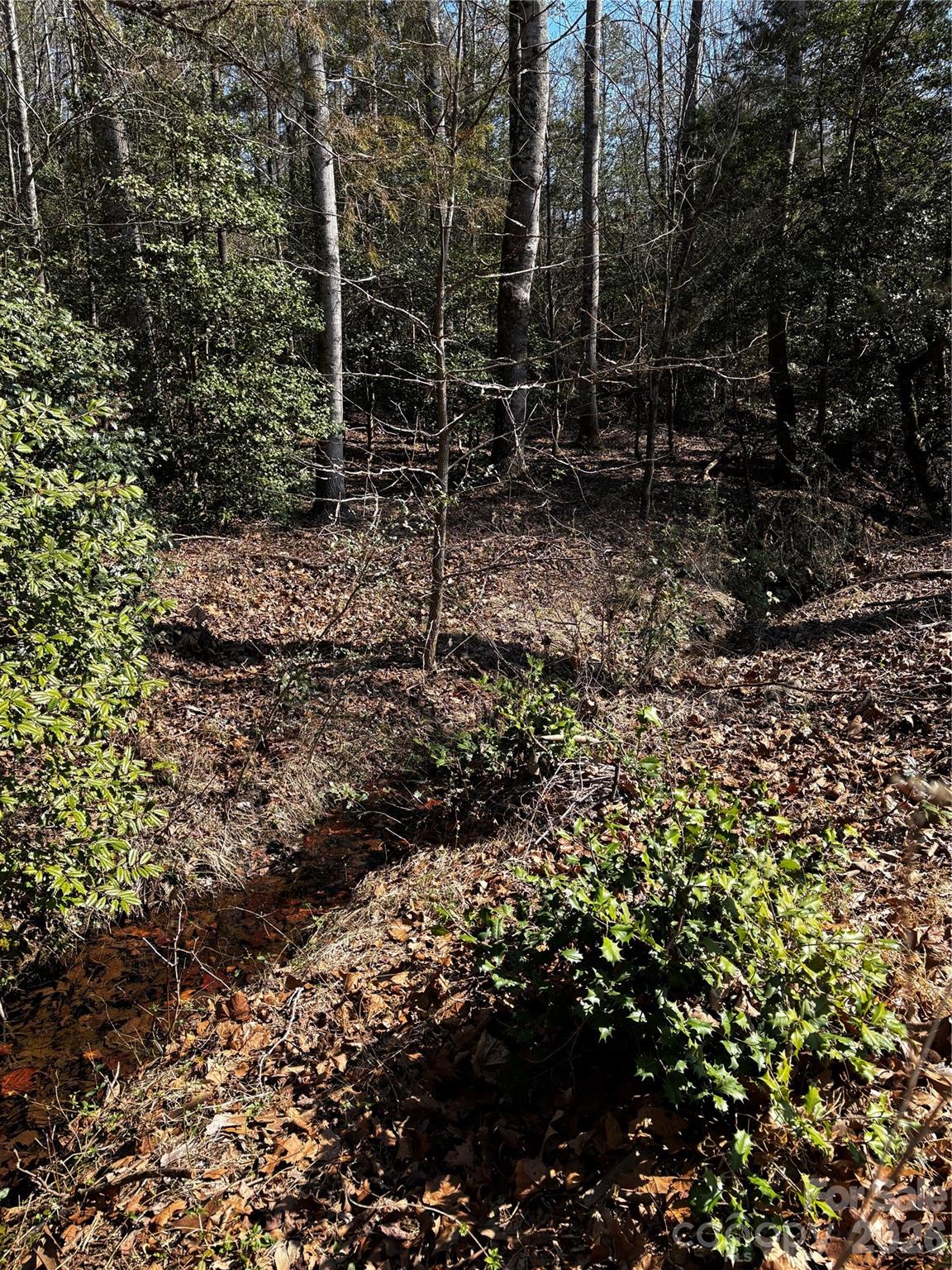 1685 Old Caroleen Road Forest City, NC 28043 - Photo 32 of 41