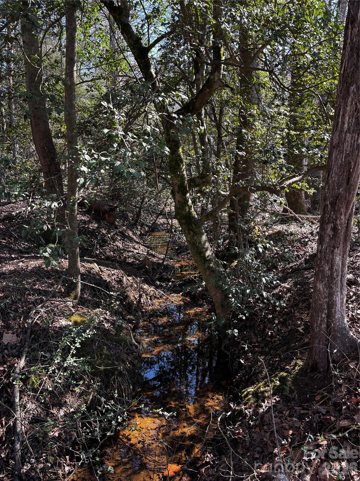 1685 Old Caroleen Road Forest City, NC 28043 - Photo 33 of 41