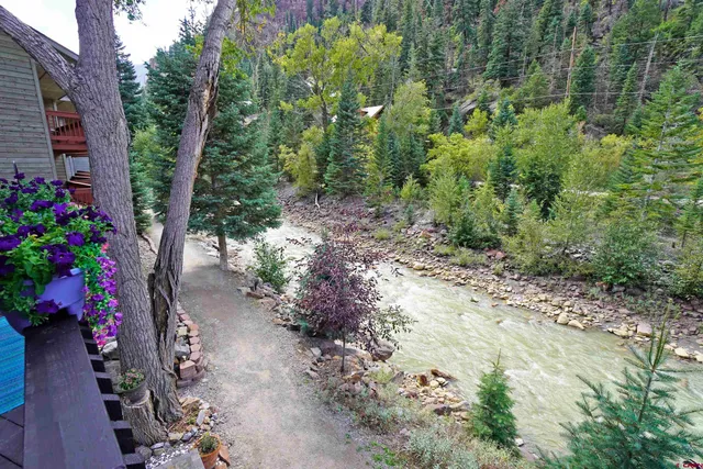 a view of a garden with large trees