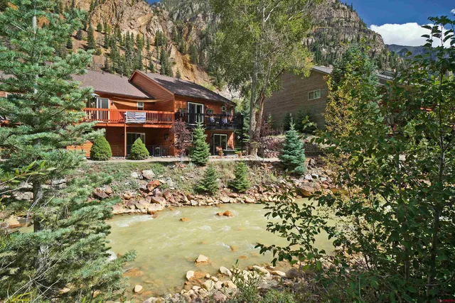 a backyard of a house with large trees and plants