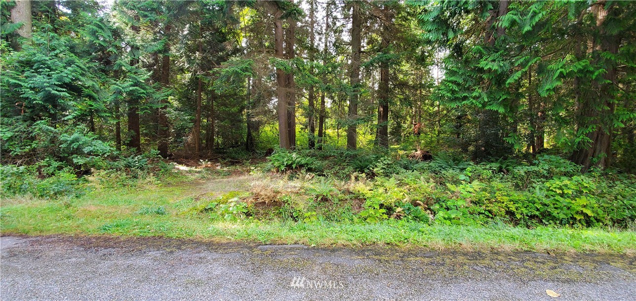 5 Deer Road Point Roberts, WA 98281 - Photo 1 of 4