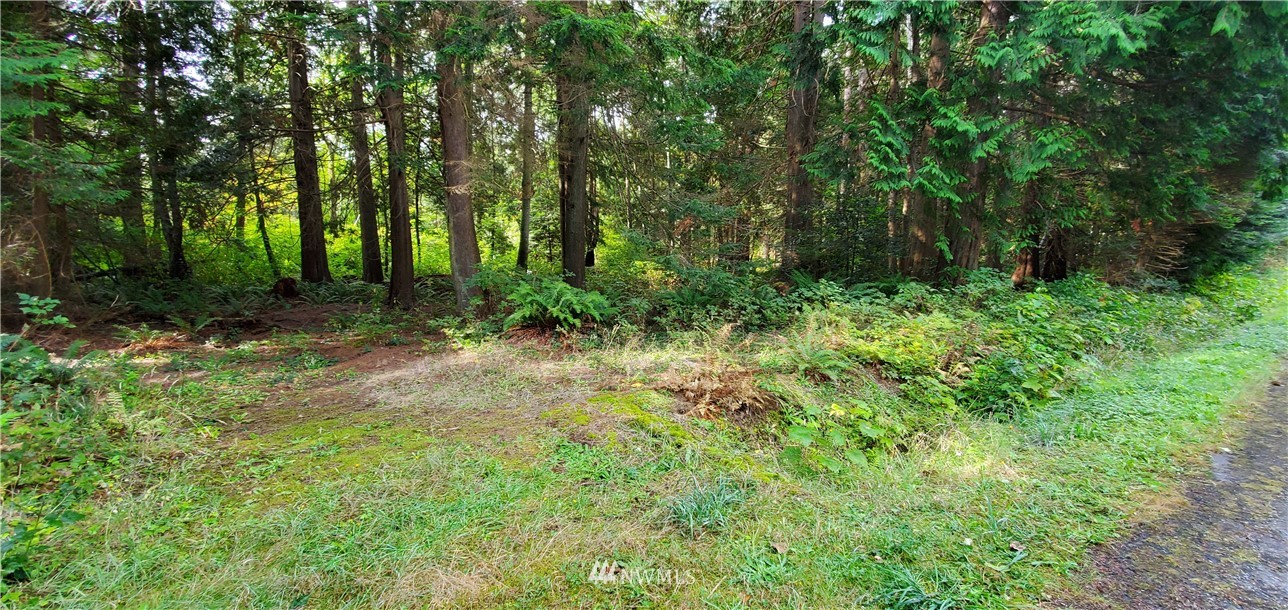 5 Deer Road Point Roberts, WA 98281 - Photo 2 of 4