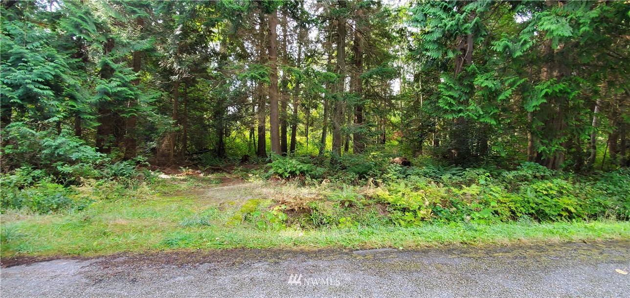 5 Deer Road Point Roberts, WA 98281 - Photo 3 of 4