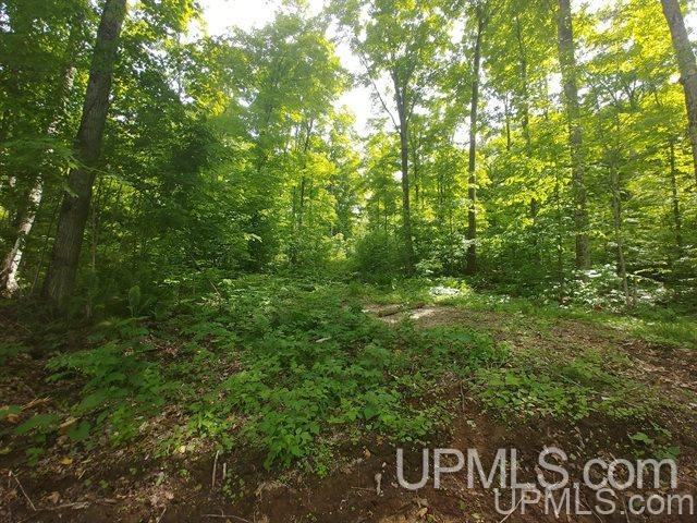 40-acres Co Rd 467 Germfask, MI 49836 - Photo 6 of 22