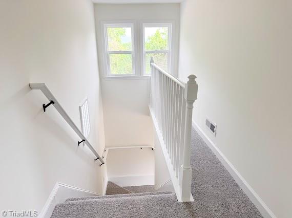 236 Miller Road Mount Airy, NC 27030 - Photo 18 of 22 Gallery Image 18