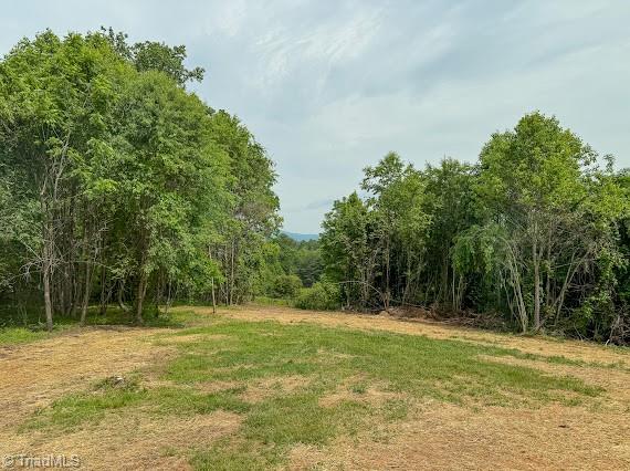 236 Miller Road Mount Airy, NC 27030 - Photo 7 of 22 Gallery Image 7