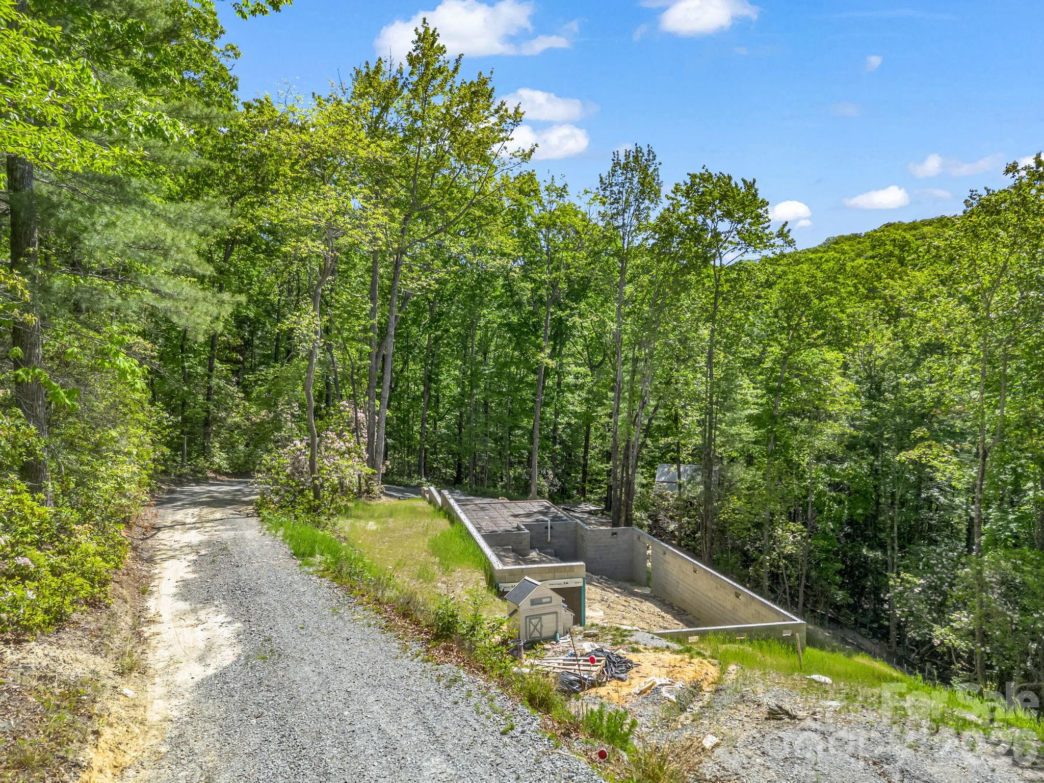 352 Big Hill Road Brevard, NC 28712 - Photo 4 of 31