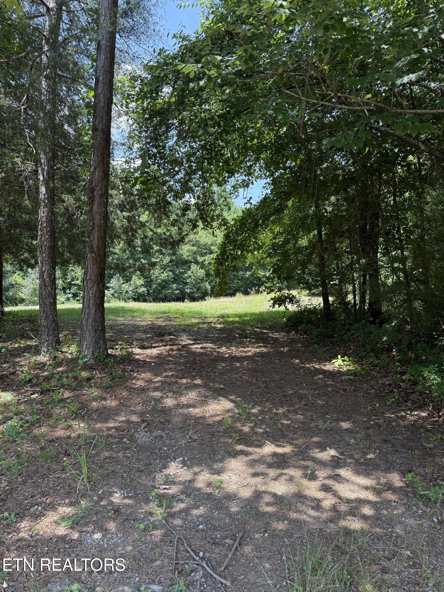 426 County Road 728 Riceville, TN 37370 - Photo 4 of 43 IMG_6440