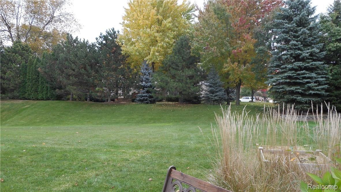 574 Springview Drive Rochester, MI 48307 - Photo 9 of 54 012.JPG