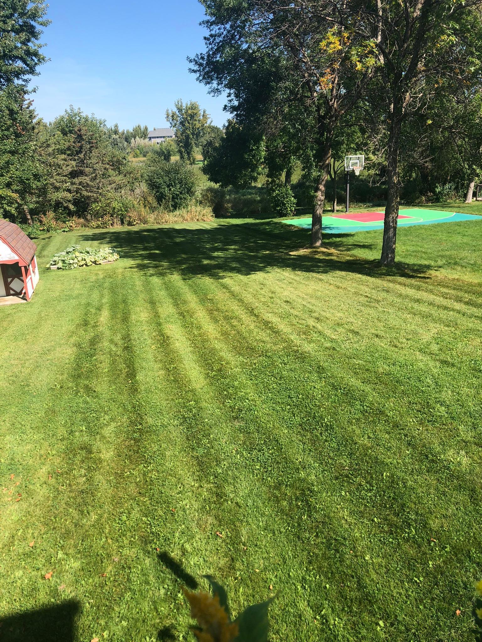 266 Cherry Hill Trail Medina, MN 55340 - Photo 47 of 55