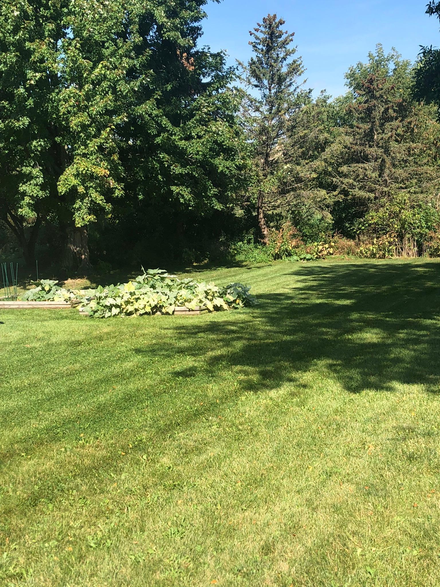 266 Cherry Hill Trail Medina, MN 55340 - Photo 49 of 55