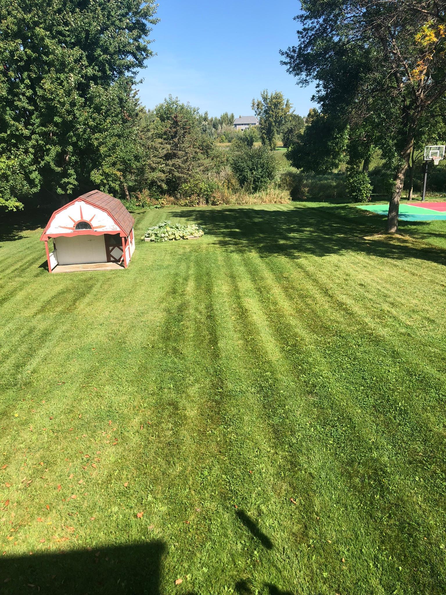 266 Cherry Hill Trail Medina, MN 55340 - Photo 50 of 55