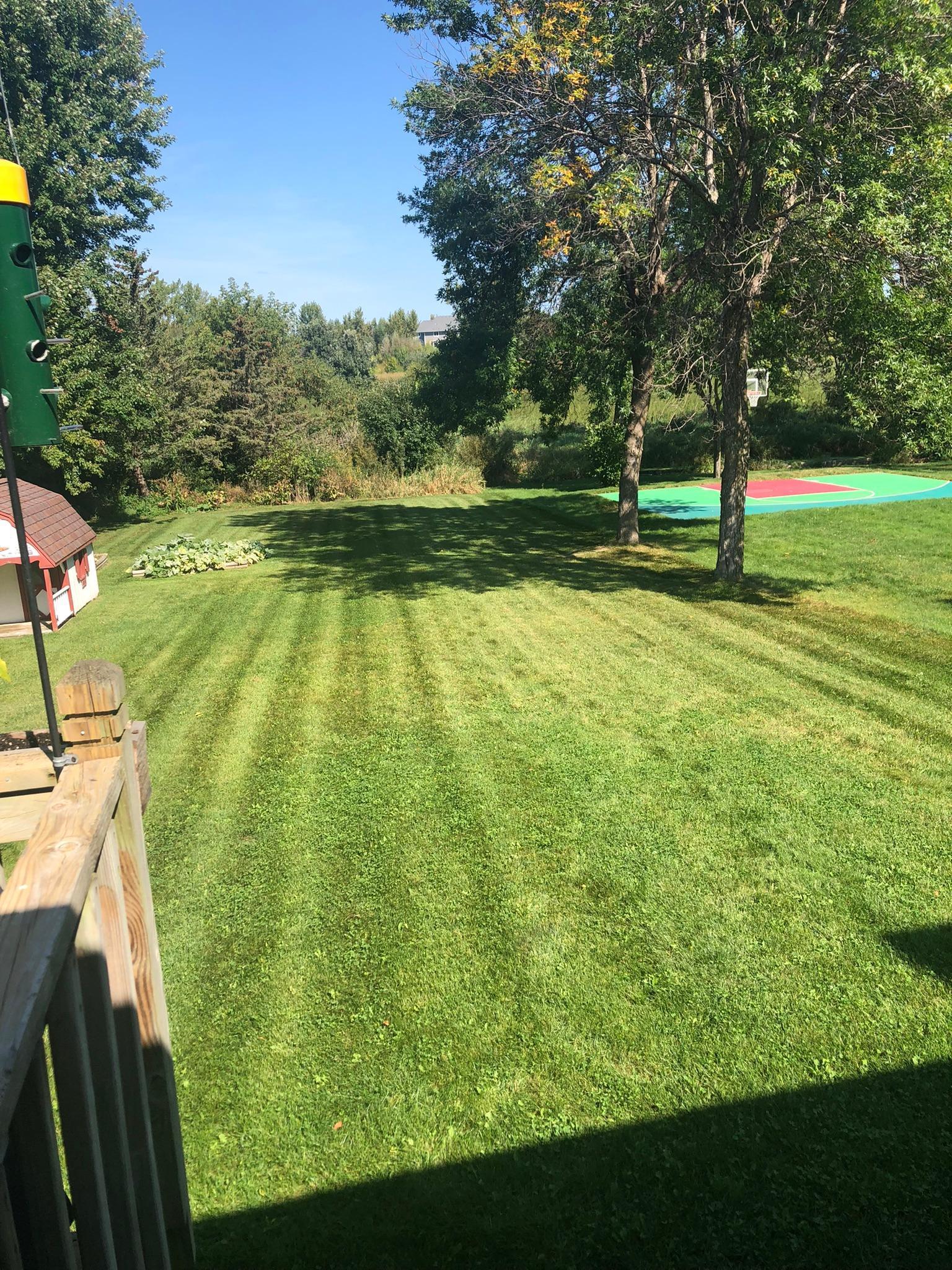 266 Cherry Hill Trail Medina, MN 55340 - Photo 51 of 55