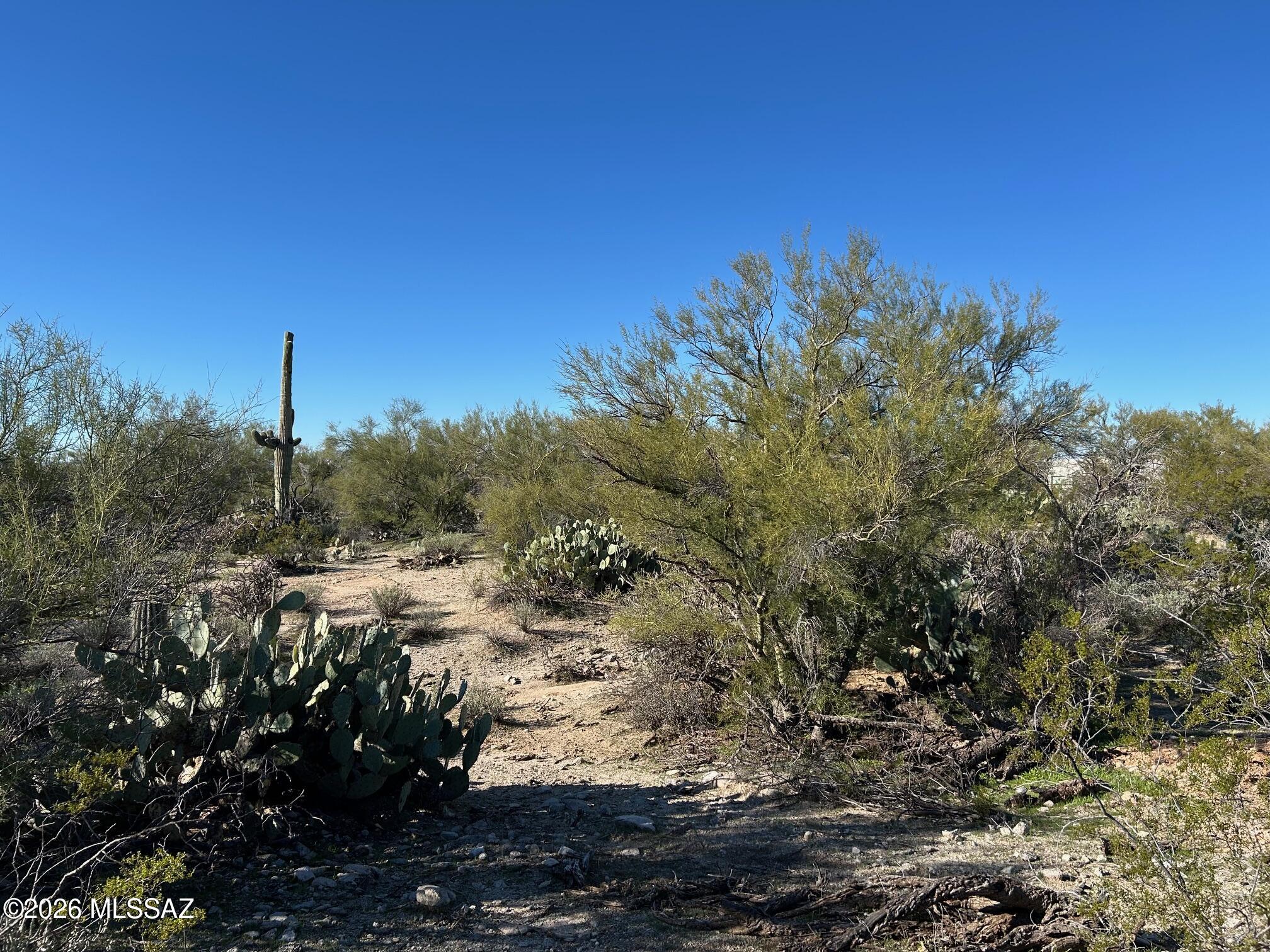 3980 West Moore Road, Unit 2 Marana, AZ 85658 - Photo 10 of 13