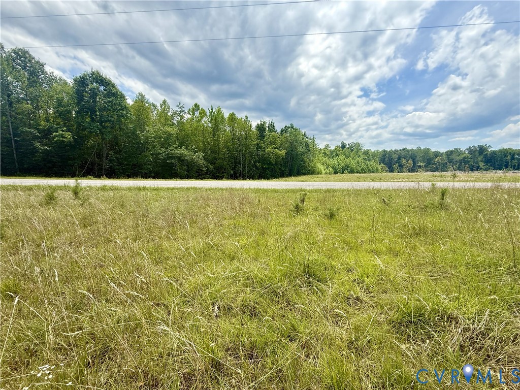Lot 26 Whispering Wood Road Meherrin, VA 23954 - Photo 3 of 10