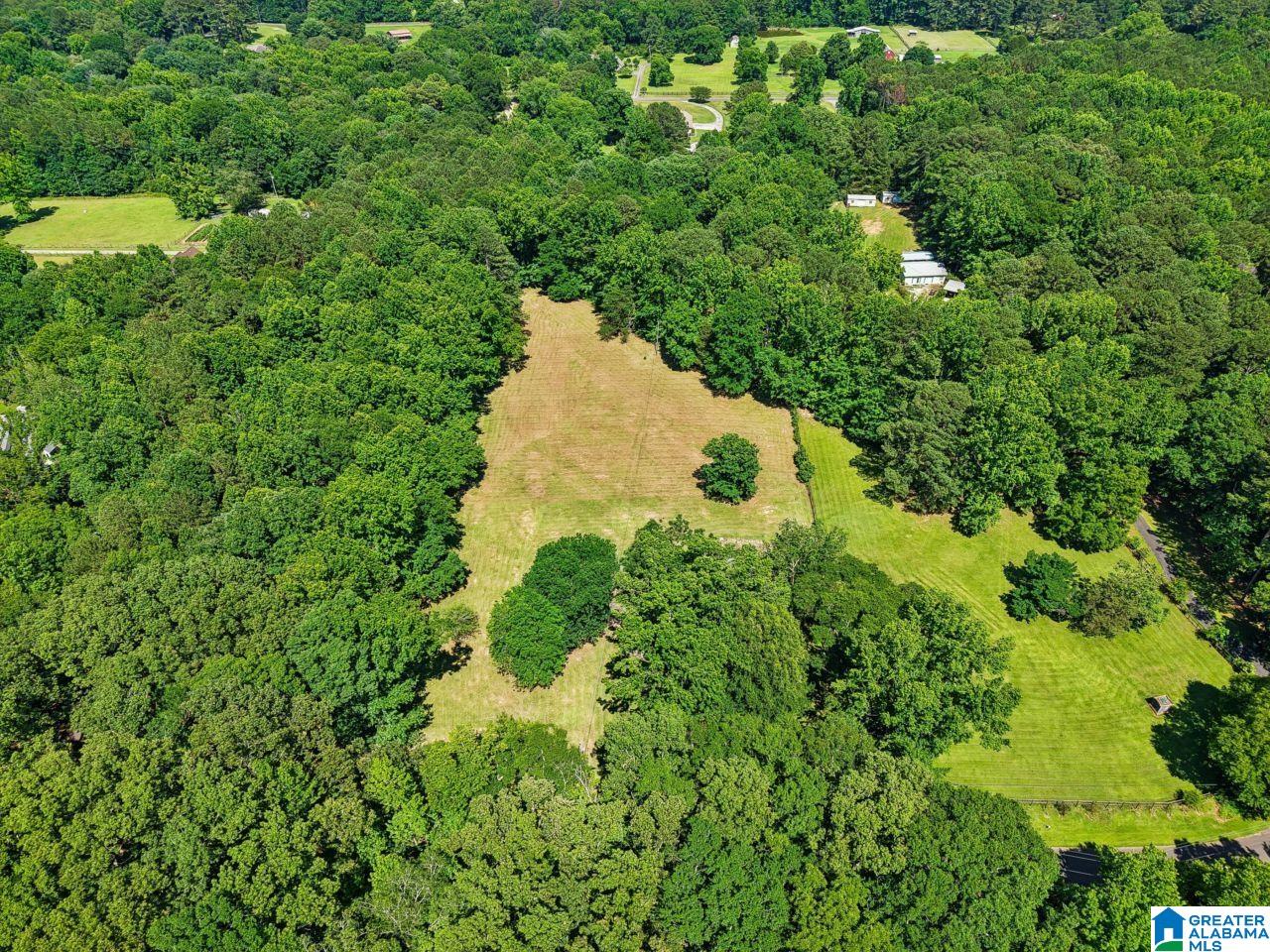257 Chimney Rock Road Southwest Leeds, AL 35094 - Photo 14 of 58