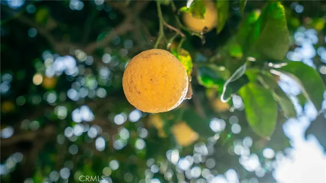 $950,000 | 3200 Flower Street, Lynwood, CA 90262