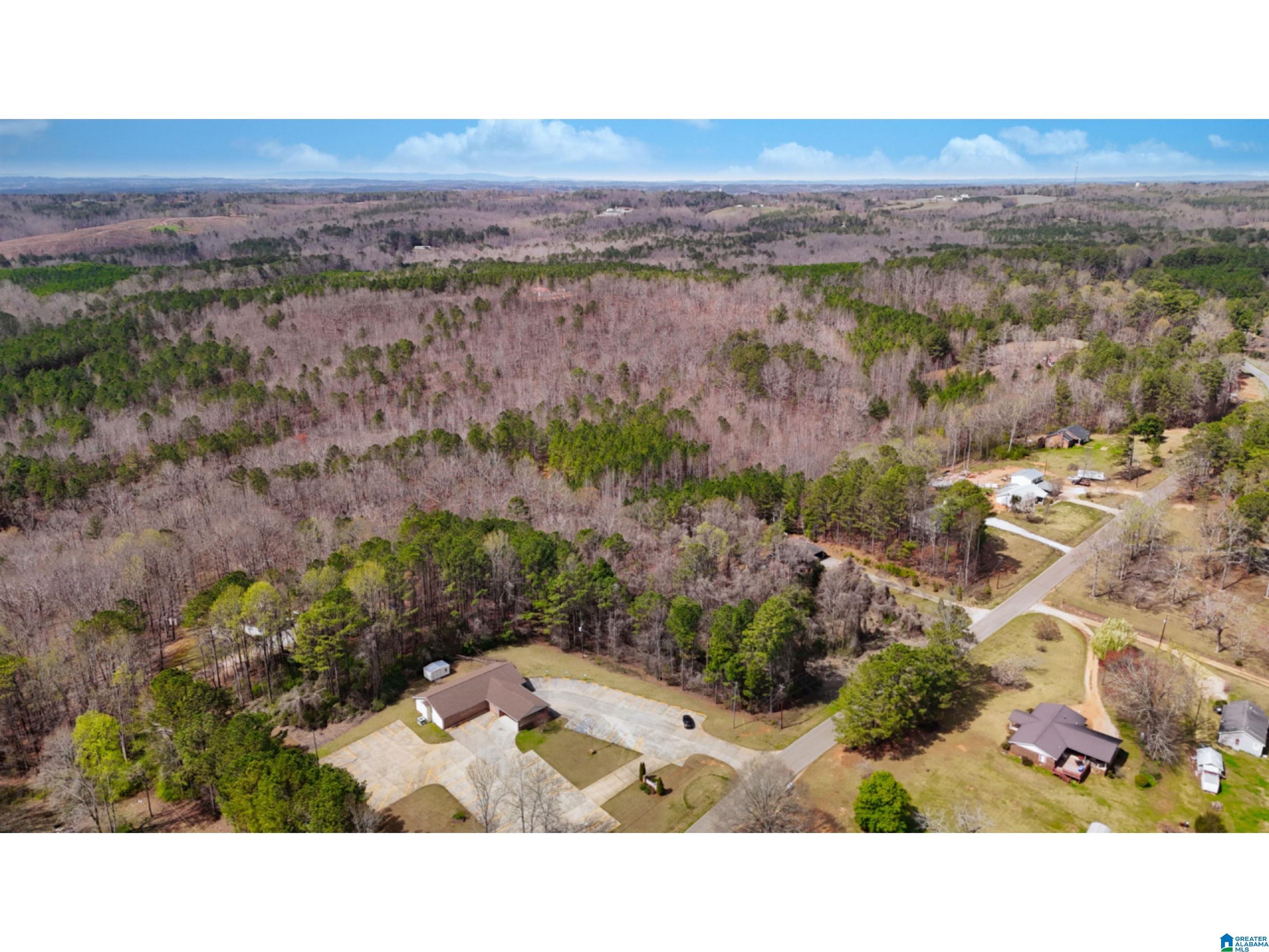 Co Road, Unit 61 Roanoke, AL 36274 - Photo 3 of 8 Gallery Image 3