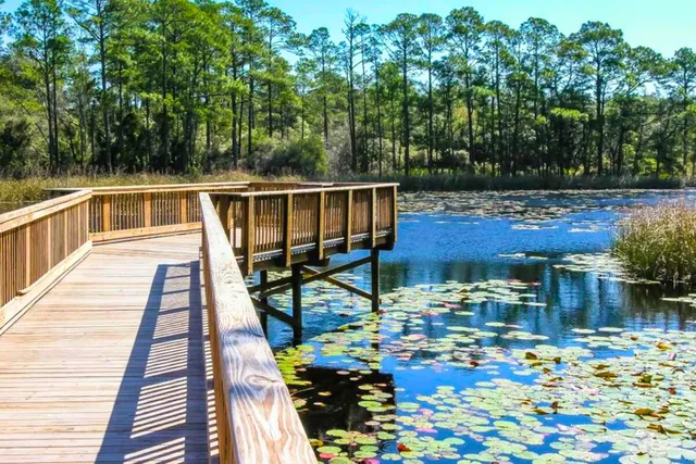 a view of outdoor space with entertaining space