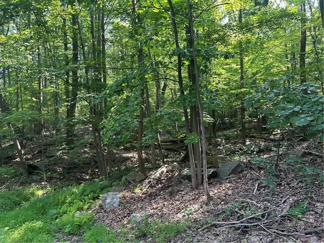 $12,000 | Lot 934 Ski Slope Road, Acme, PA 15610