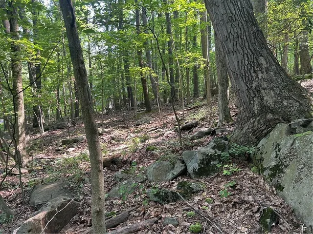 $12,000 | Lot 934 Ski Slope Road, Acme, PA 15610
