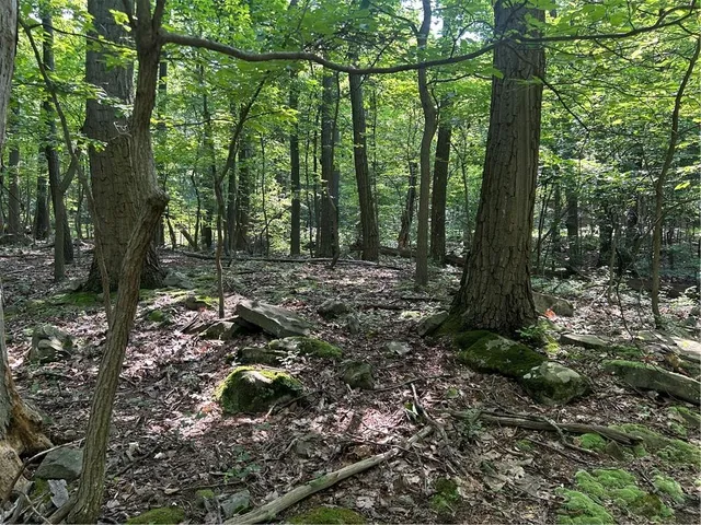 $12,000 | Lot 934 Ski Slope Road, Acme, PA 15610