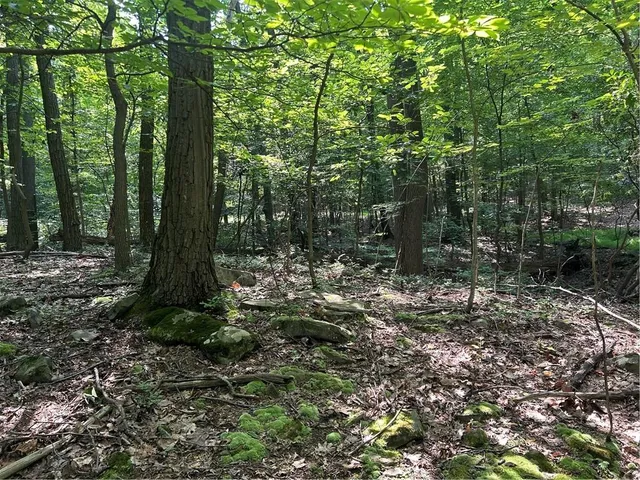 $12,000 | Lot 934 Ski Slope Road, Acme, PA 15610