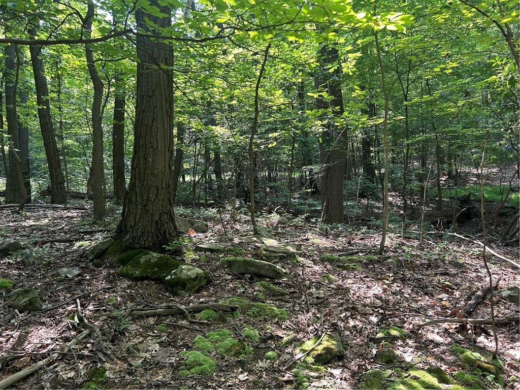 Lot 934 Ski Slope Road Acme, PA 15610 - Photo 5 of 5