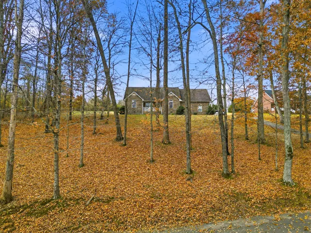 a backyard of a building with trees