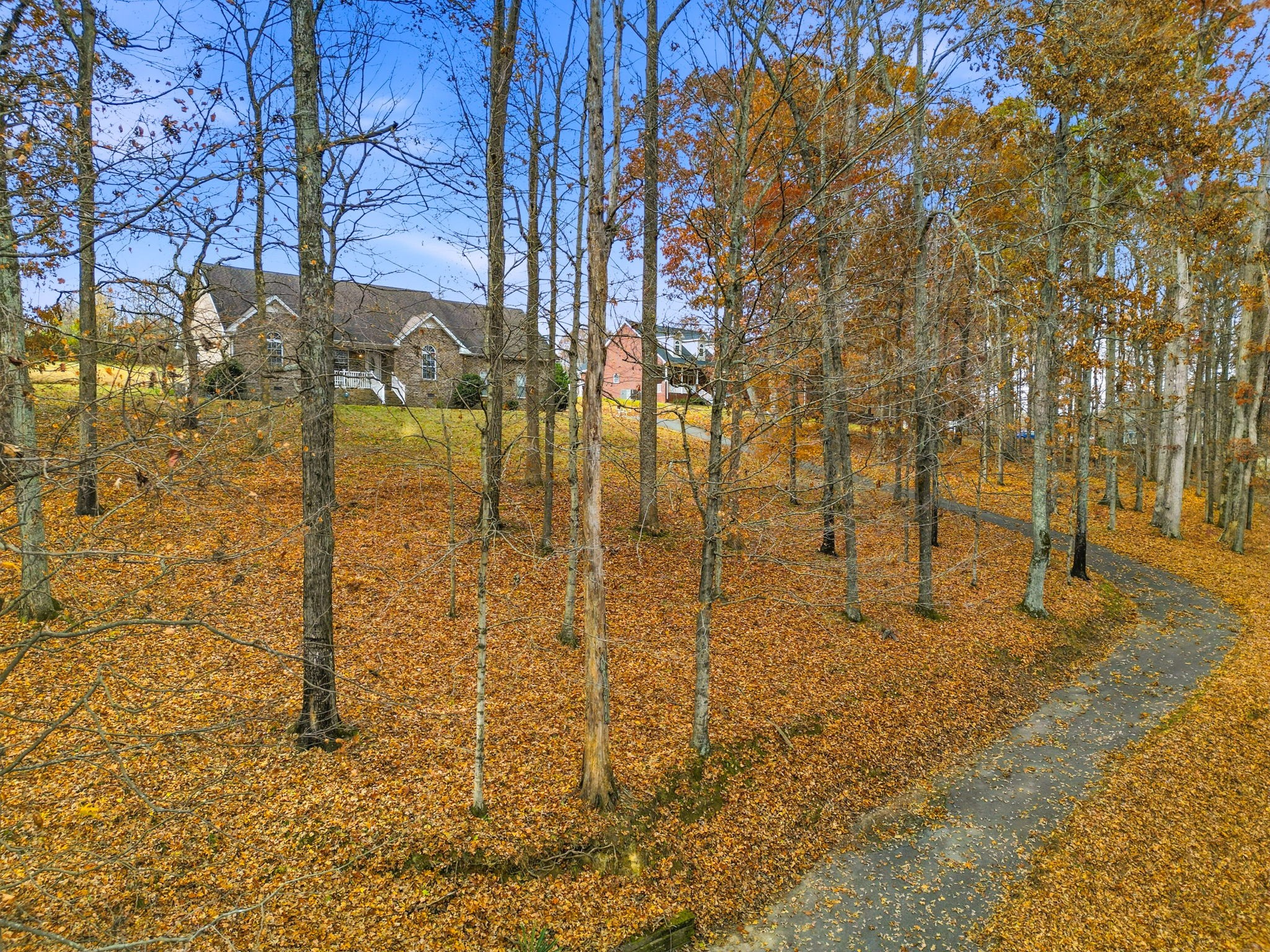 742 Bowling Branch Road Cottontown, TN 37048 - Photo 34 of 42 a view of yard