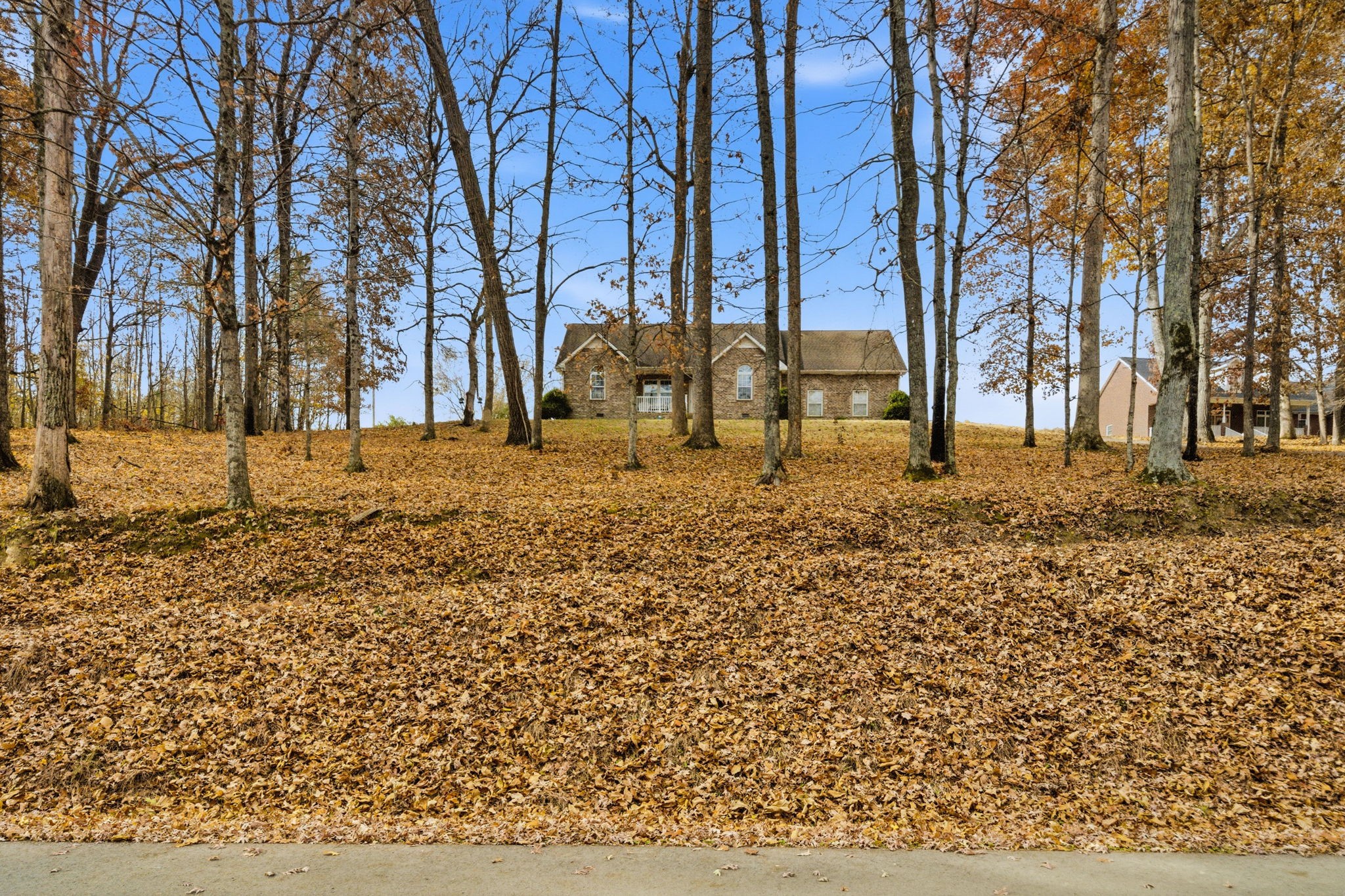 742 Bowling Branch Road Cottontown, TN 37048 - Photo 5 of 42 a backyard of a house with lots of green space