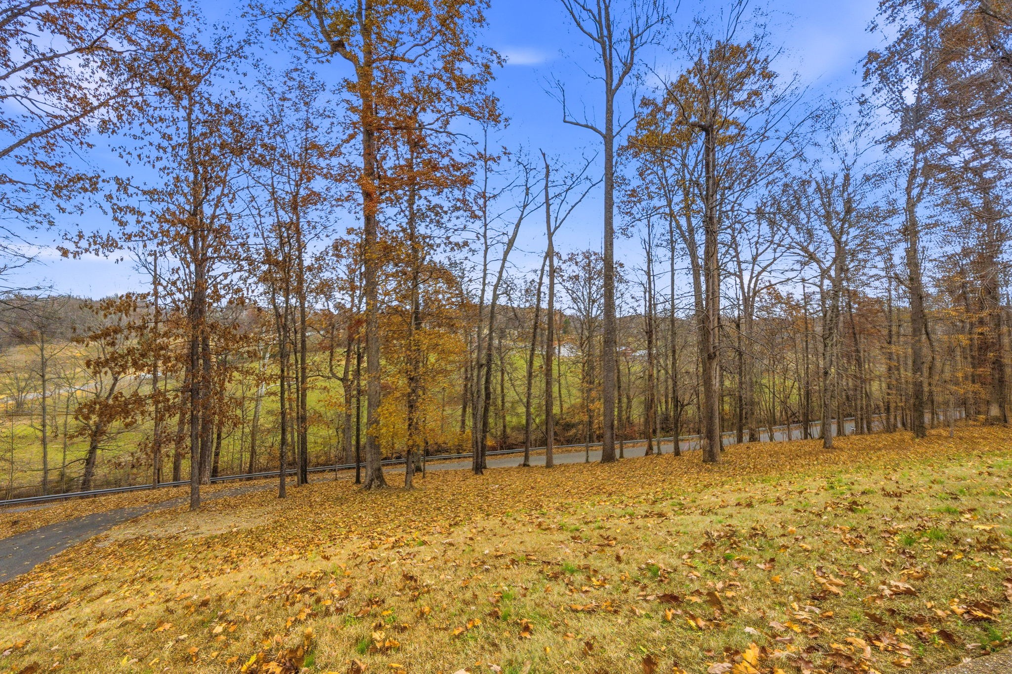 742 Bowling Branch Road Cottontown, TN 37048 - Photo 7 of 42