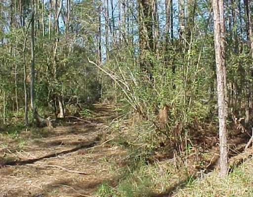 1816 Springridge Road Gautier, MS 39553 - Photo 1 of 3 Primary Photo